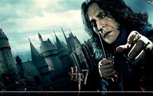 Harry Potter and the Deathly Hallows 1